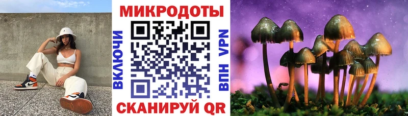 Купить Киржач Псилоцибиновые грибы Magic Shrooms